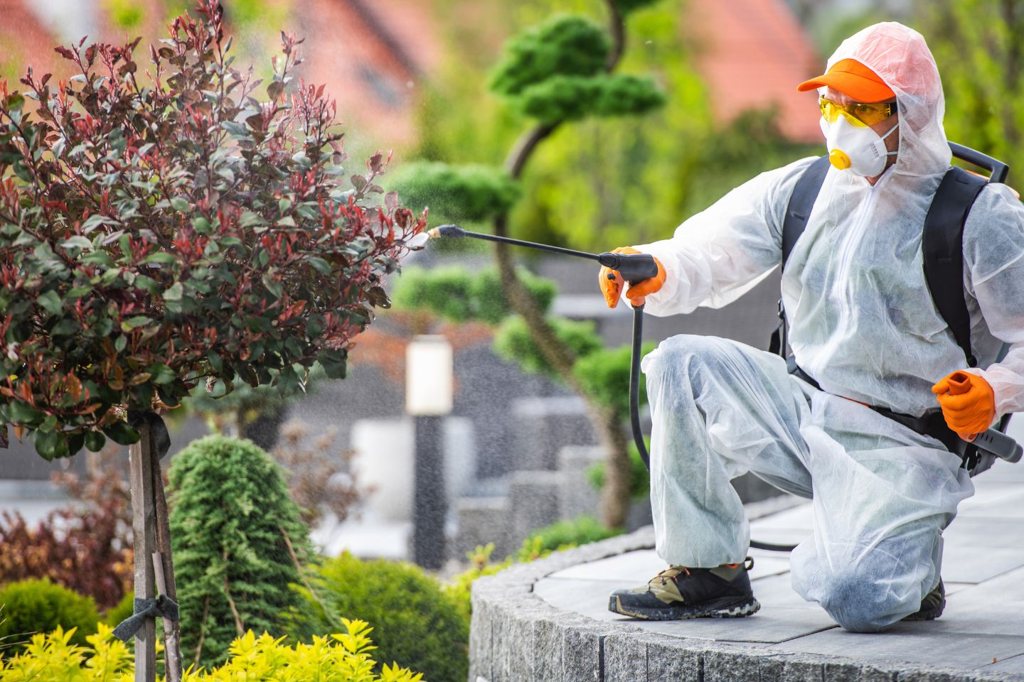 Pest Control